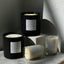 Coconut & Sandalwood Candle / Available in Multiple Sizes