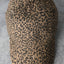 Leopard Distressed Cotton Baseball Cap